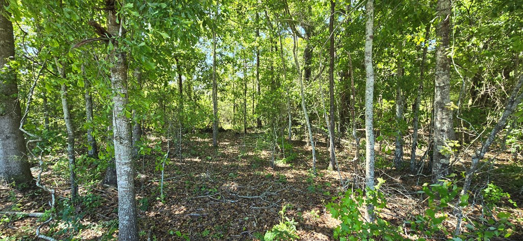 800 Grady Garner Road Slocomb, AL 36375 - Photo 16 of 49