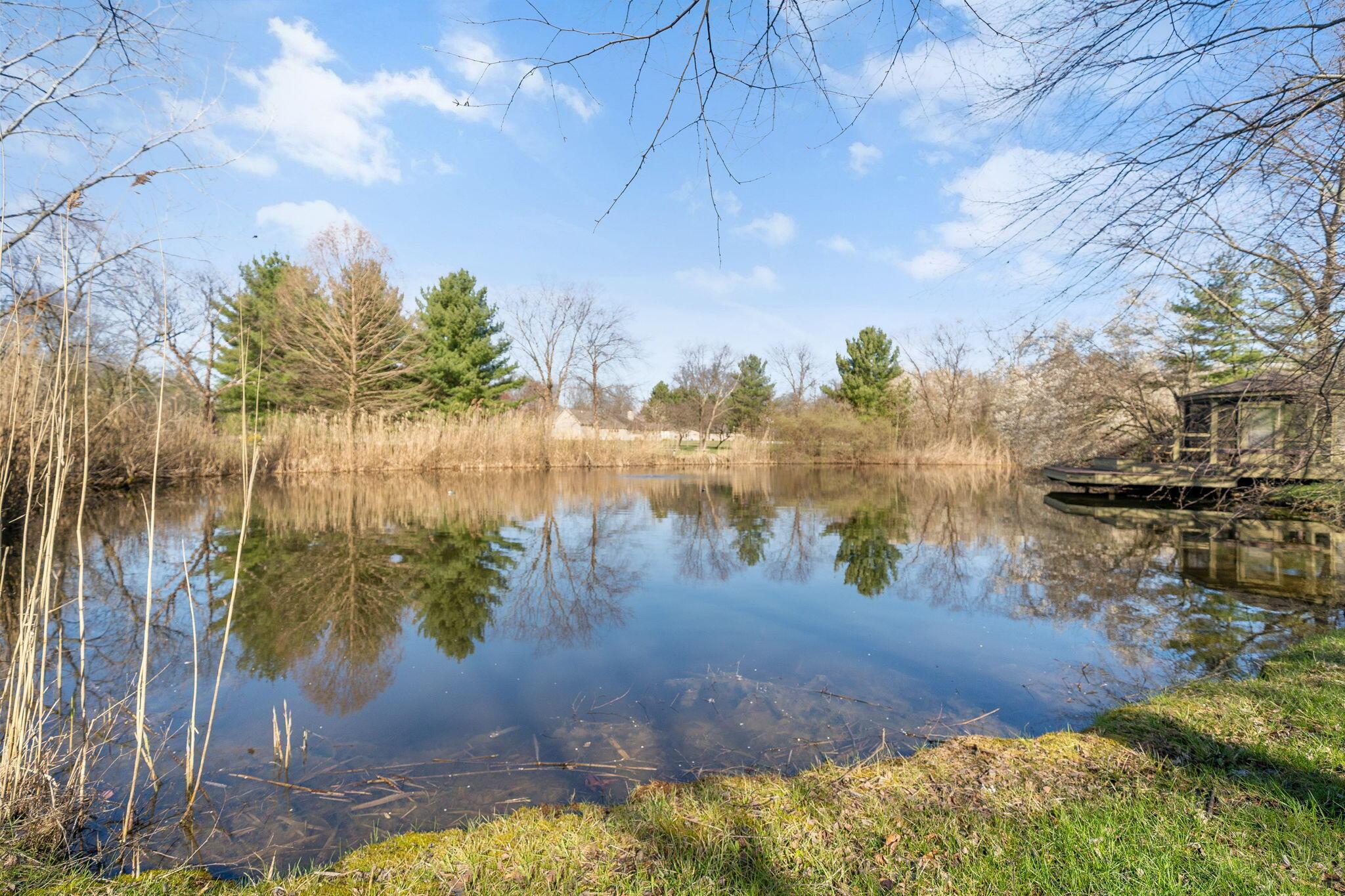 3450 Mann Road Blacklick, OH 43004 - Photo 113 of 134 Pond