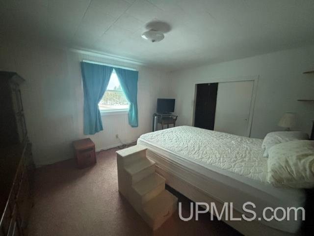 6265 Perkins 30.5 Road Rapid River, MI 49878 - Photo 9 of 14