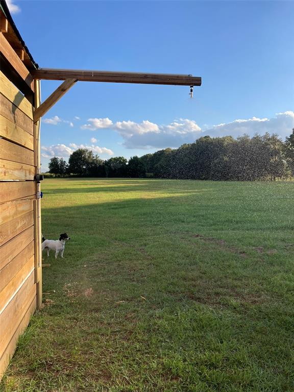 20462 Southwest 36th Street Dunnellon, FL 34431 - Photo 41 of 54