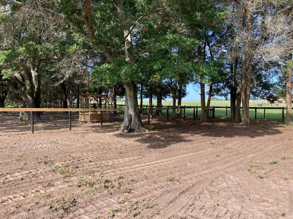 20462 Southwest 36th Street Dunnellon, FL 34431 - Photo 42 of 54