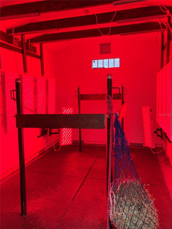 20462 Southwest 36th Street Dunnellon, FL 34431 - Photo 46 of 54