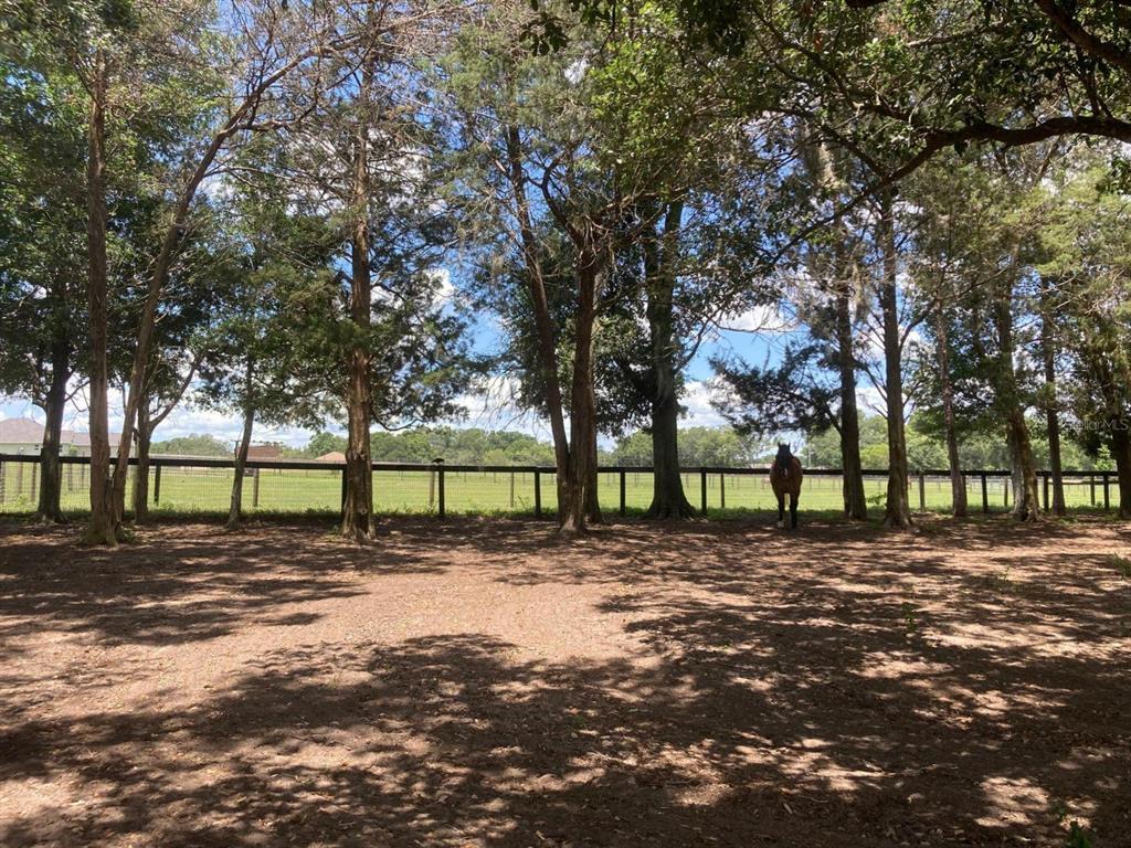 20462 Southwest 36th Street Dunnellon, FL 34431 - Photo 51 of 55 a street view with a yard