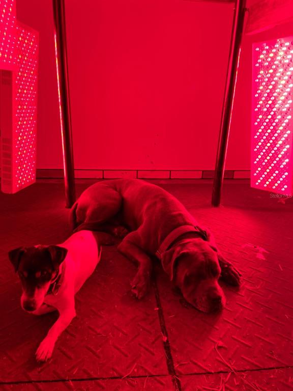 20462 Southwest 36th Street Dunnellon, FL 34431 - Photo 8 of 55 a view of a room with lots of white furniture and a window
