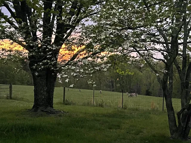 $499,999 | 1345 Stone Mill Road, Hurt, VA 24563