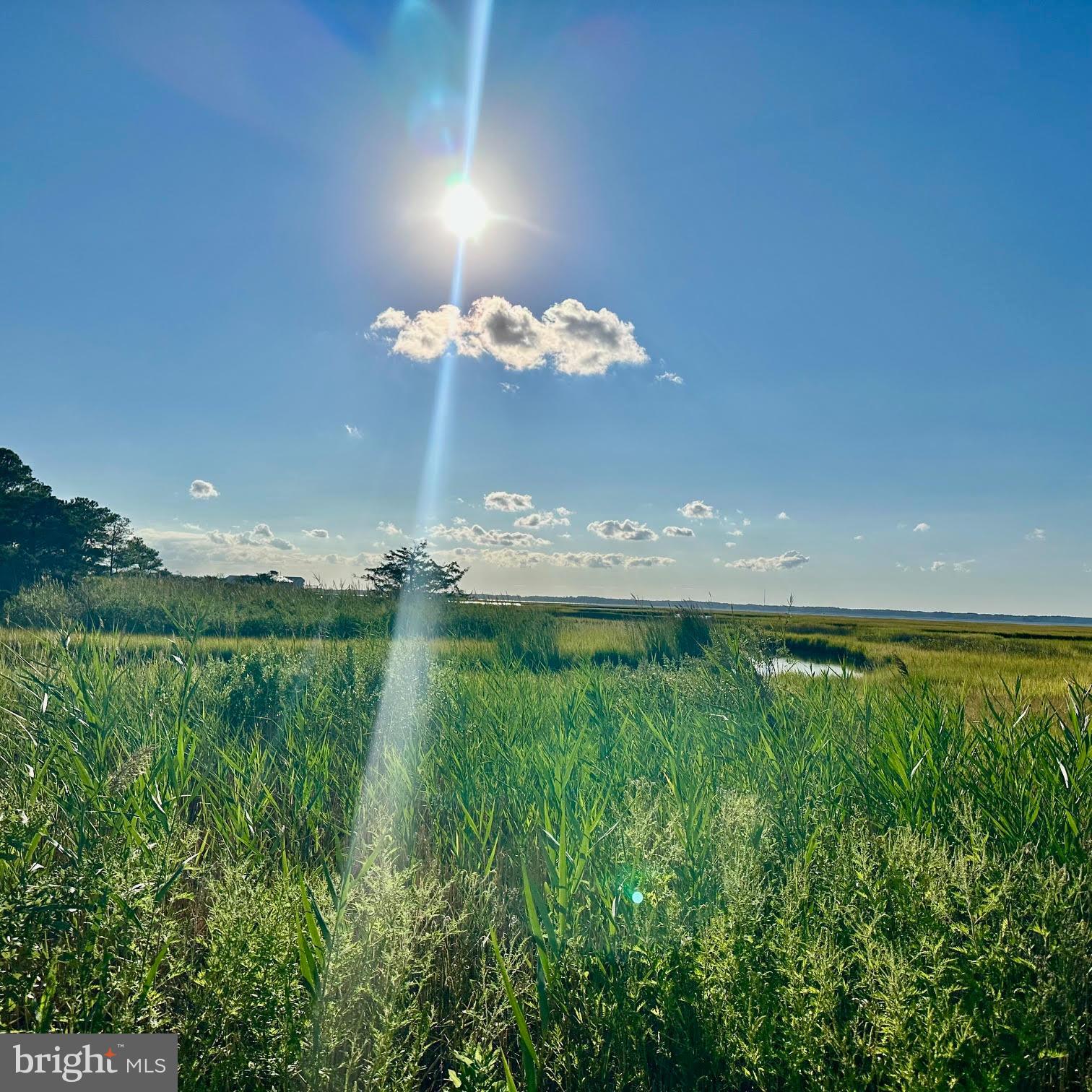119 Old Landing Road, Unit E203 Ocean City, MD 21842 - Photo 38 of 45 a view of a lake from a yard
