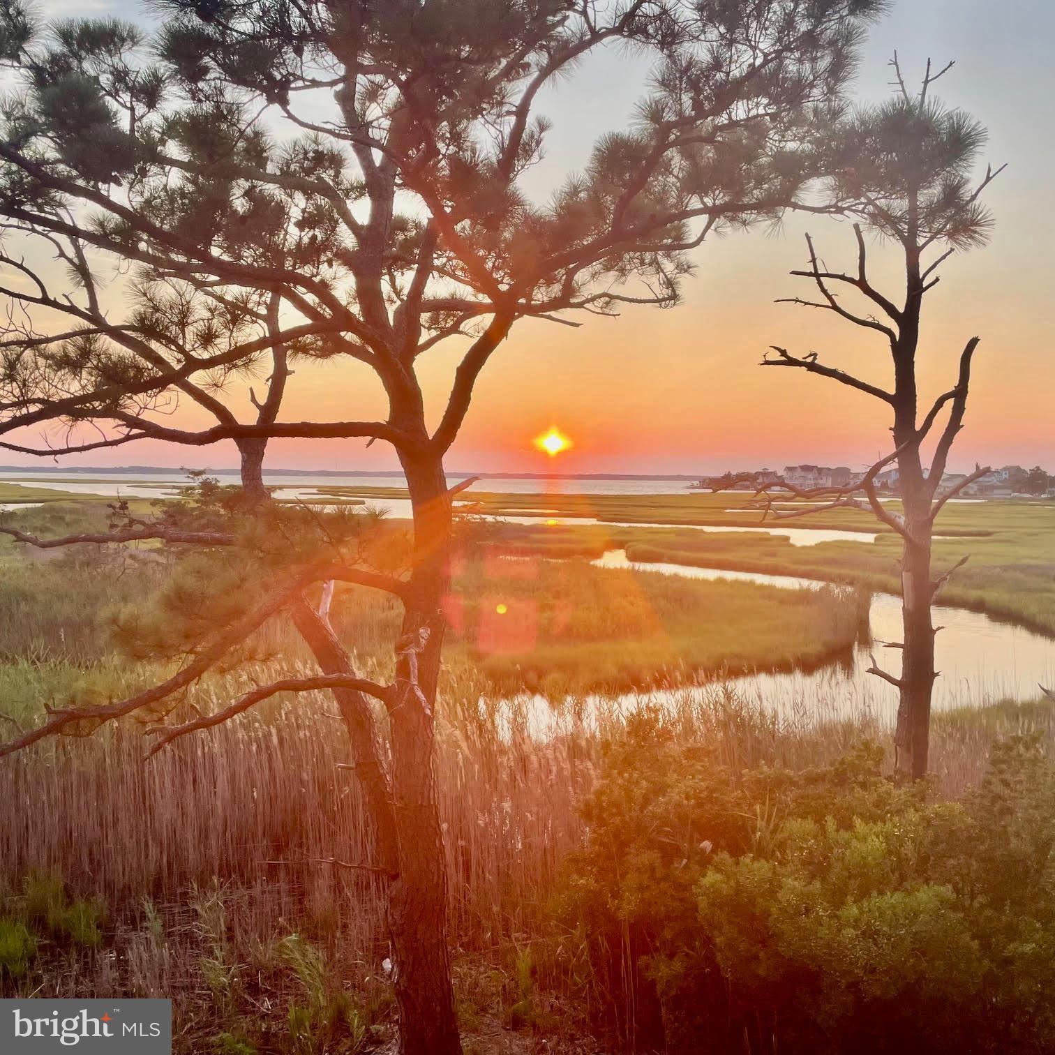 119 Old Landing Road, Unit E203 Ocean City, MD 21842 - Photo 41 of 45 a view of an outdoor space with a lake view