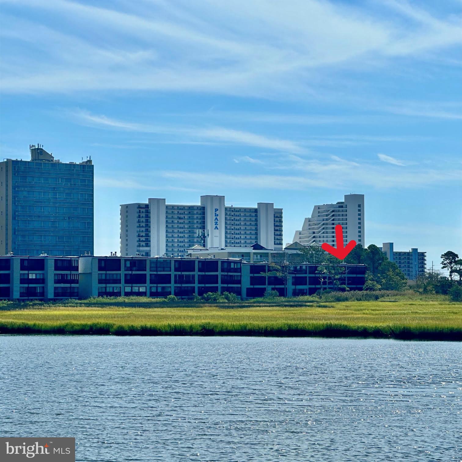 119 Old Landing Road, Unit E203 Ocean City, MD 21842 - Photo 45 of 45 a view of swimming pool with lawn chairs and large trees