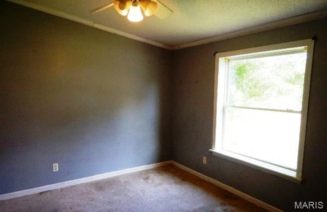 94 Pinewood Drive Winfield, MO 63389 - Photo 15 of 19