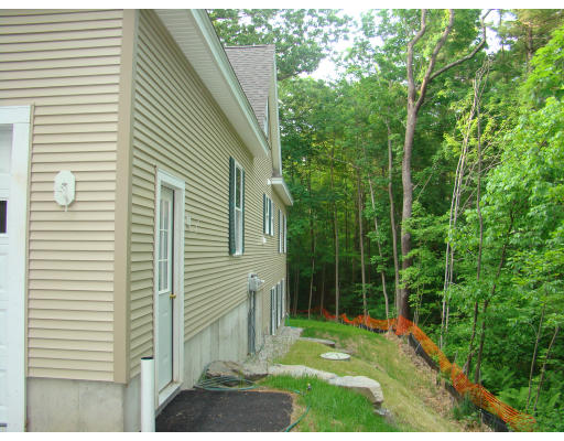 35 Little Turnpike Road Shirley, MA 01464 - Photo 5 of 22 a view of a backyard with a large tree