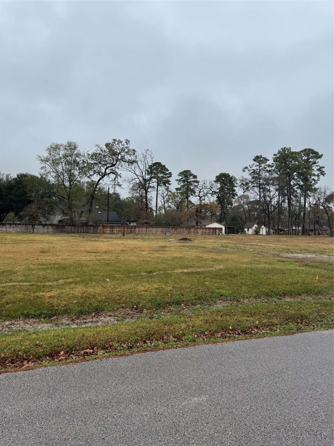 1619 Sungail Drive Spring, TX 77386 - Photo 5 of 5