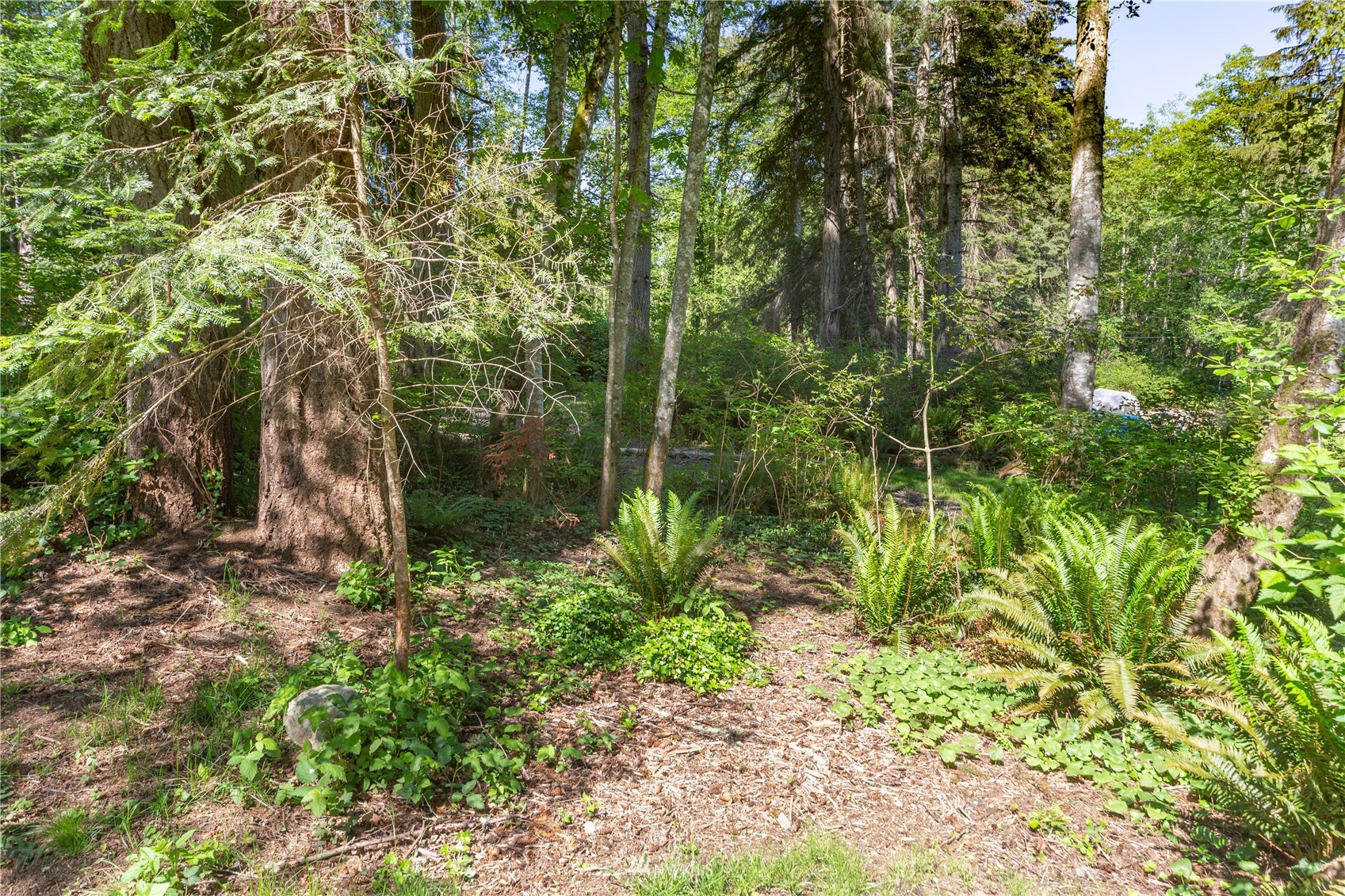 22301 Seatter Road Northeast Kingston, WA 98346 - Photo 18 of 37 Gallery Image 18