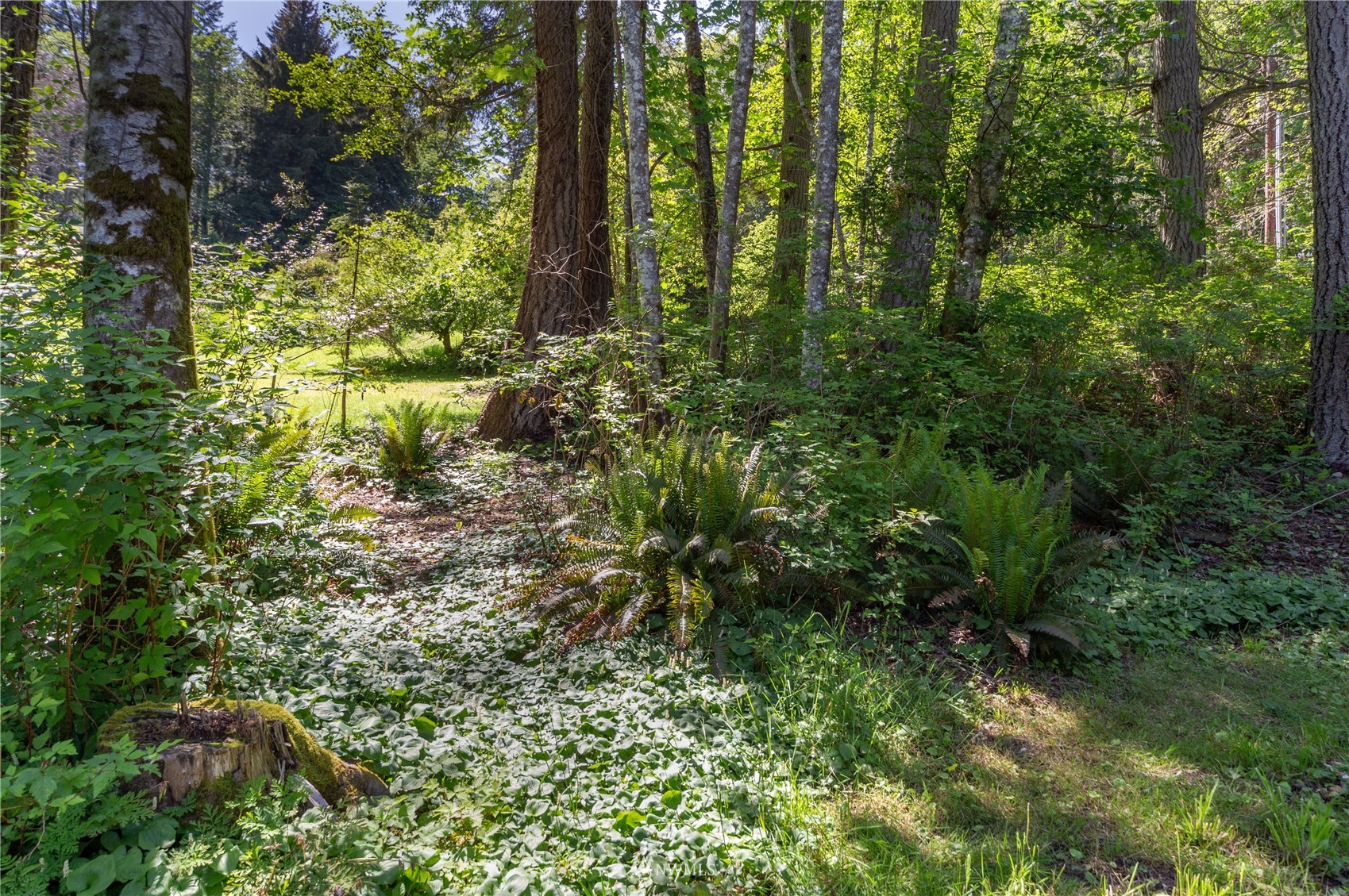 22301 Seatter Road Northeast Kingston, WA 98346 - Photo 19 of 37 Gallery Image 19