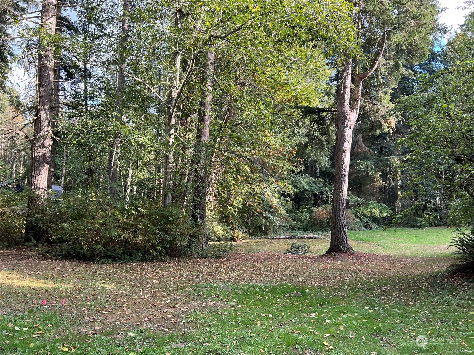 22301 Seatter Road Northeast Kingston, WA 98346 - Photo 20 of 37 Gallery Image 20