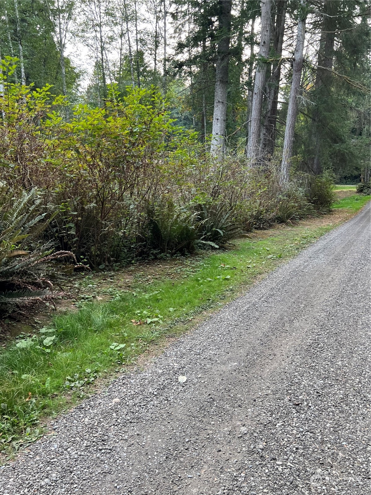 22301 Seatter Road Northeast Kingston, WA 98346 - Photo 32 of 37 Gallery Image 32