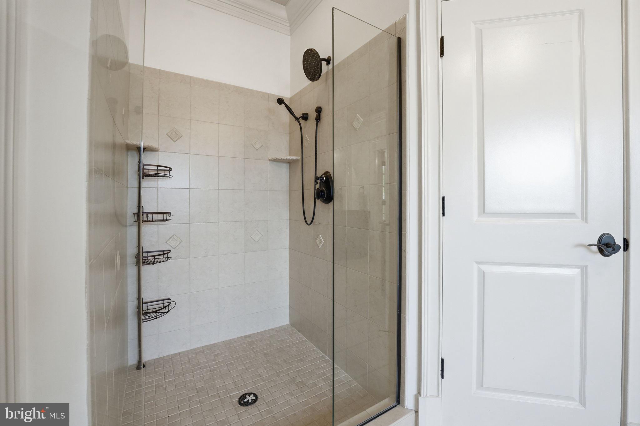 10916 Chatham Ridge Way Spotsylvania, VA 22551 - Photo 25 of 92 Sleek modern shower with elegant design.