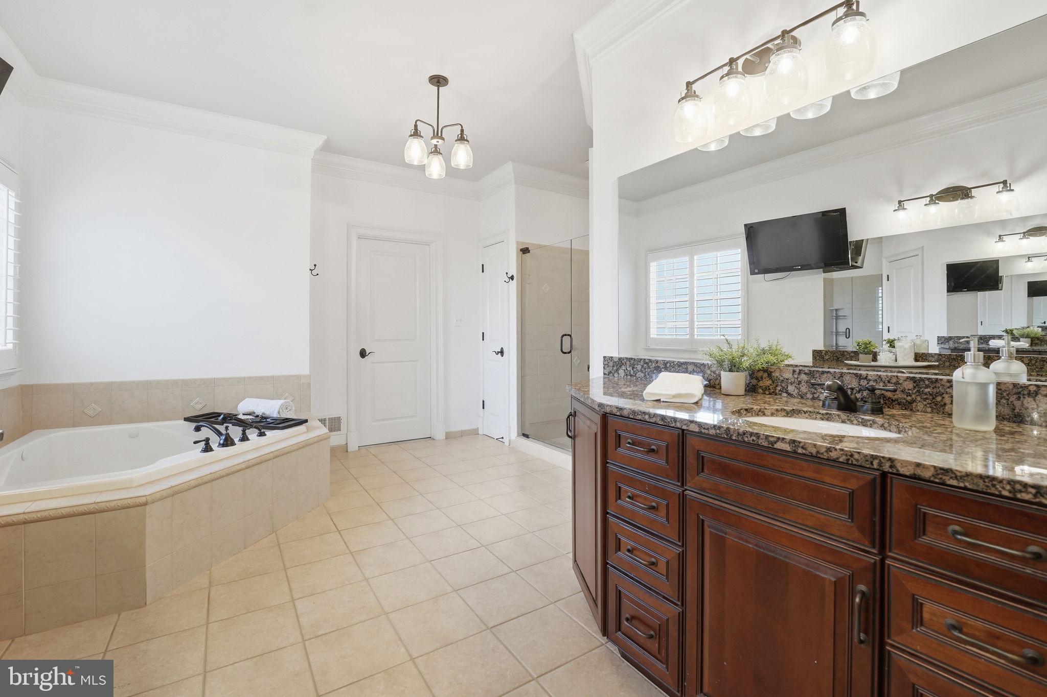 10916 Chatham Ridge Way Spotsylvania, VA 22551 - Photo 26 of 92 Elegant bathroom with modern finishes.