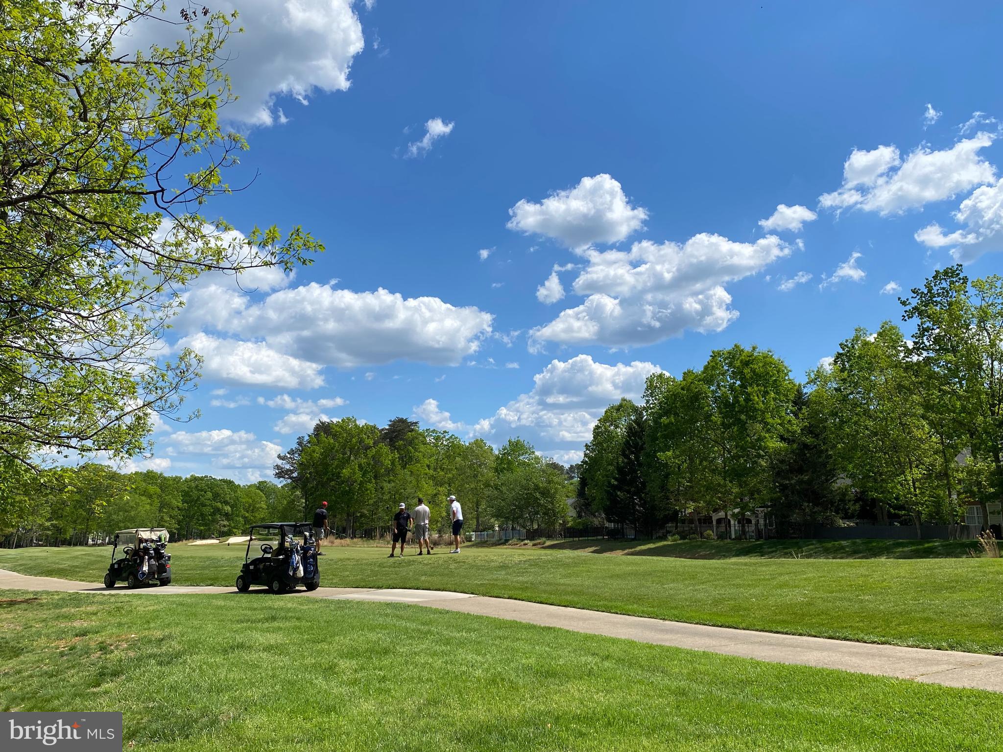 10916 Chatham Ridge Way Spotsylvania, VA 22551 - Photo 58 of 92