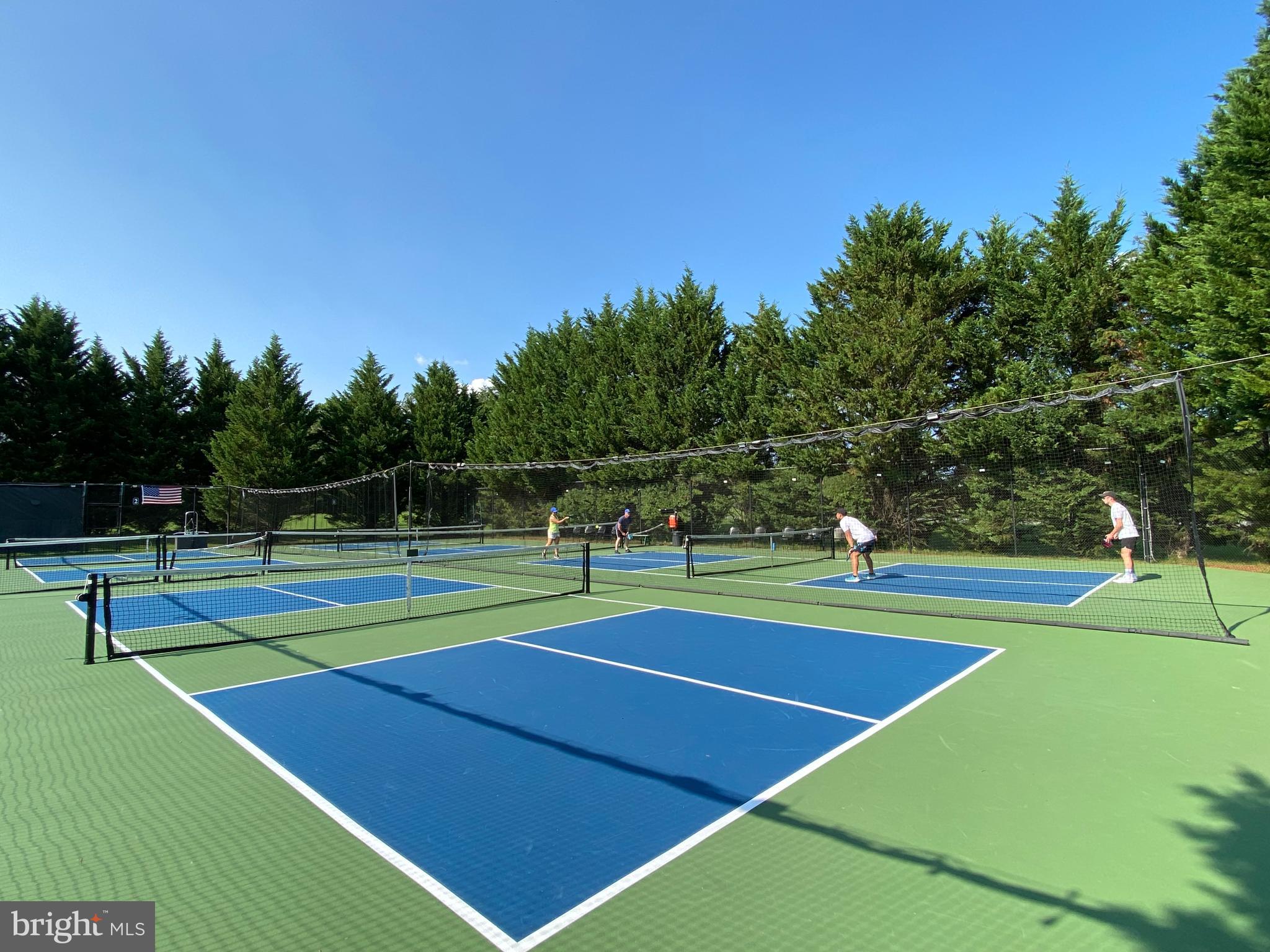 10916 Chatham Ridge Way Spotsylvania, VA 22551 - Photo 80 of 92