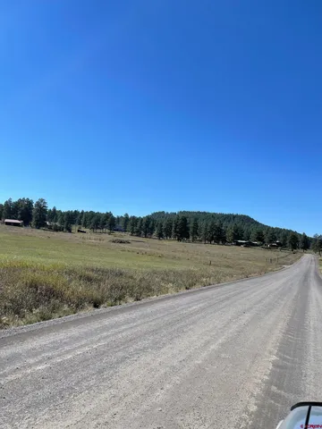 a view of a lake with trees in the background