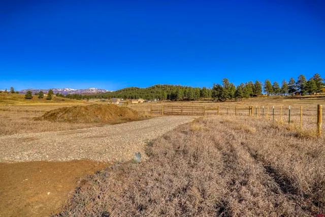 a view of beach and ocean