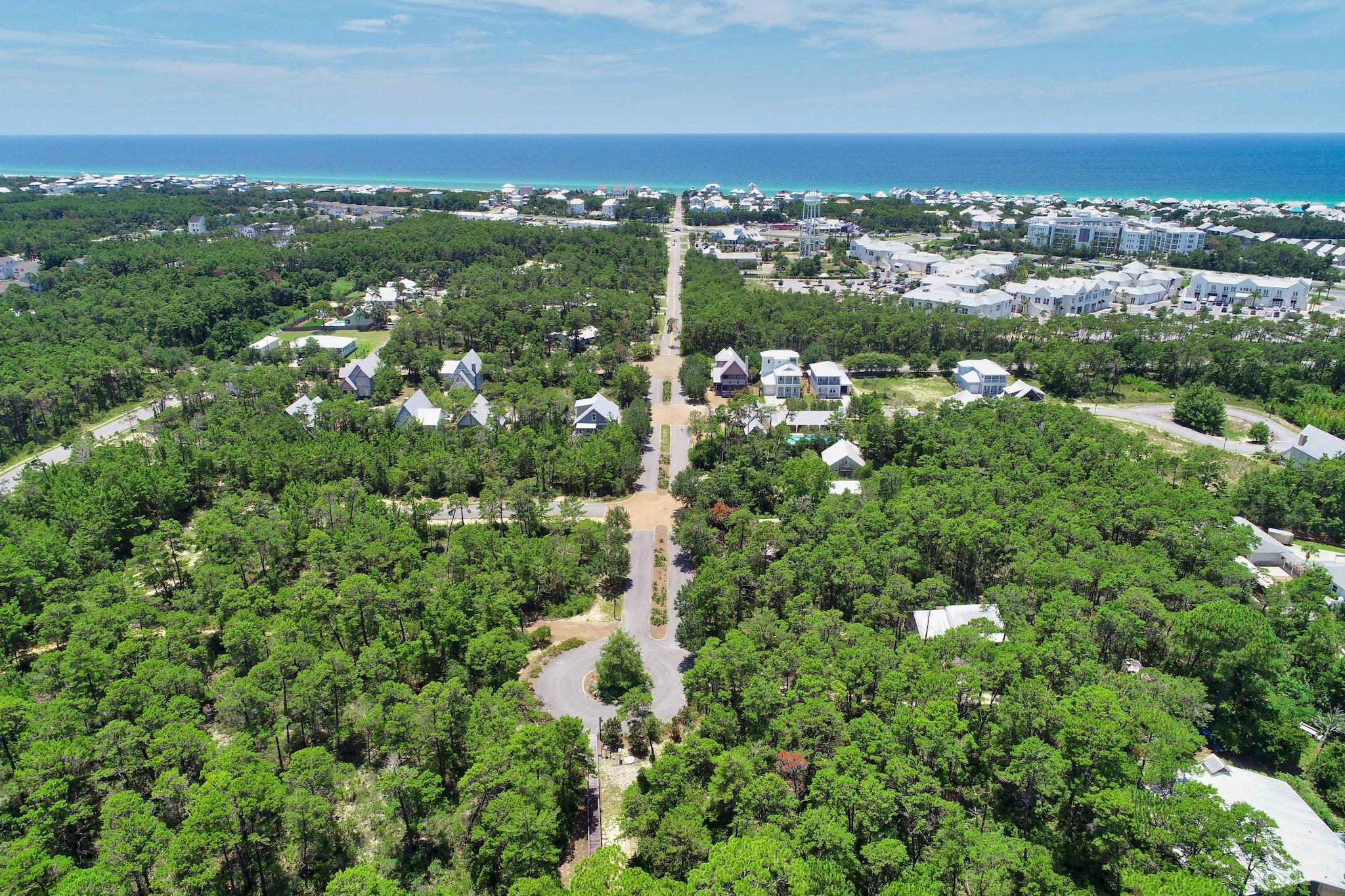 Lot 45 West Willow Mist Rd Inlet Beach Inlet Beach, FL 32461 - Photo 16 of 18 a view of a city