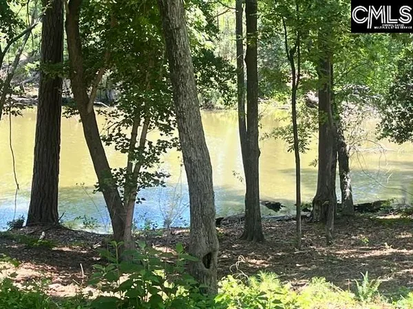$121,500 | 133 Lands End Lane, Prosperity, SC 29127