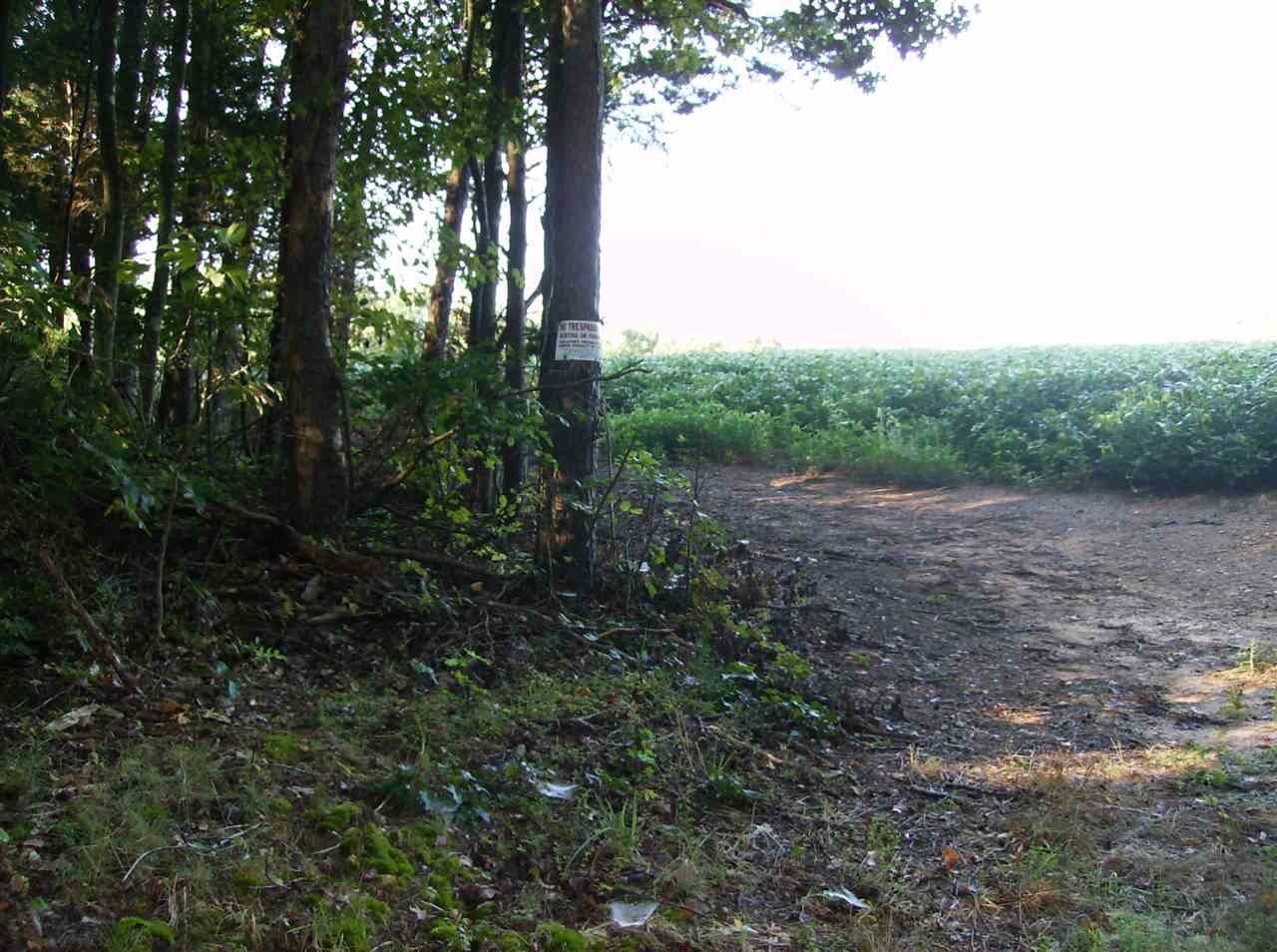 Victor Chandler Road Timberlake, NC 27583 - Photo 3 of 4 Photo 3