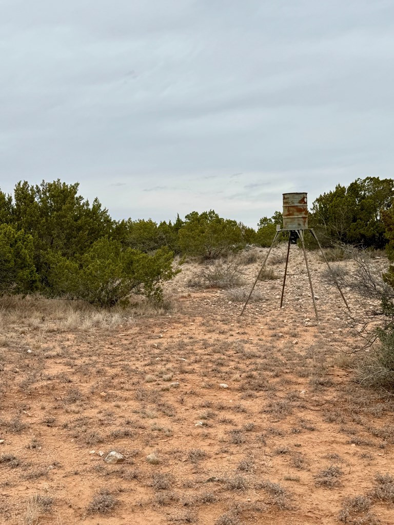537 Lone Mills Road Robert Lee, TX 76945 - Photo 10 of 24 Photo 10