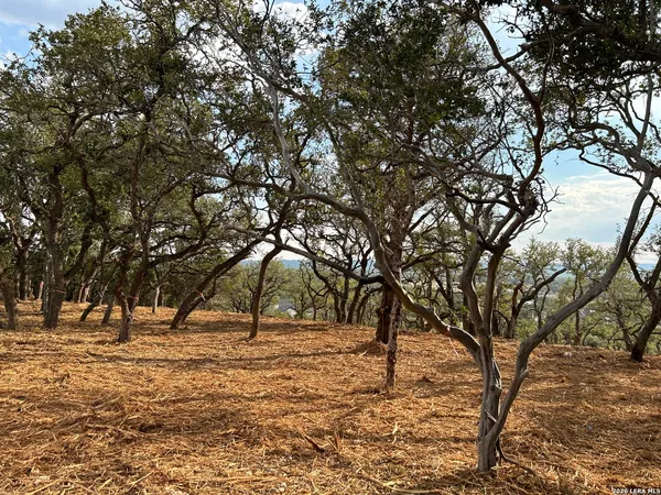 a view of outdoor space with trees