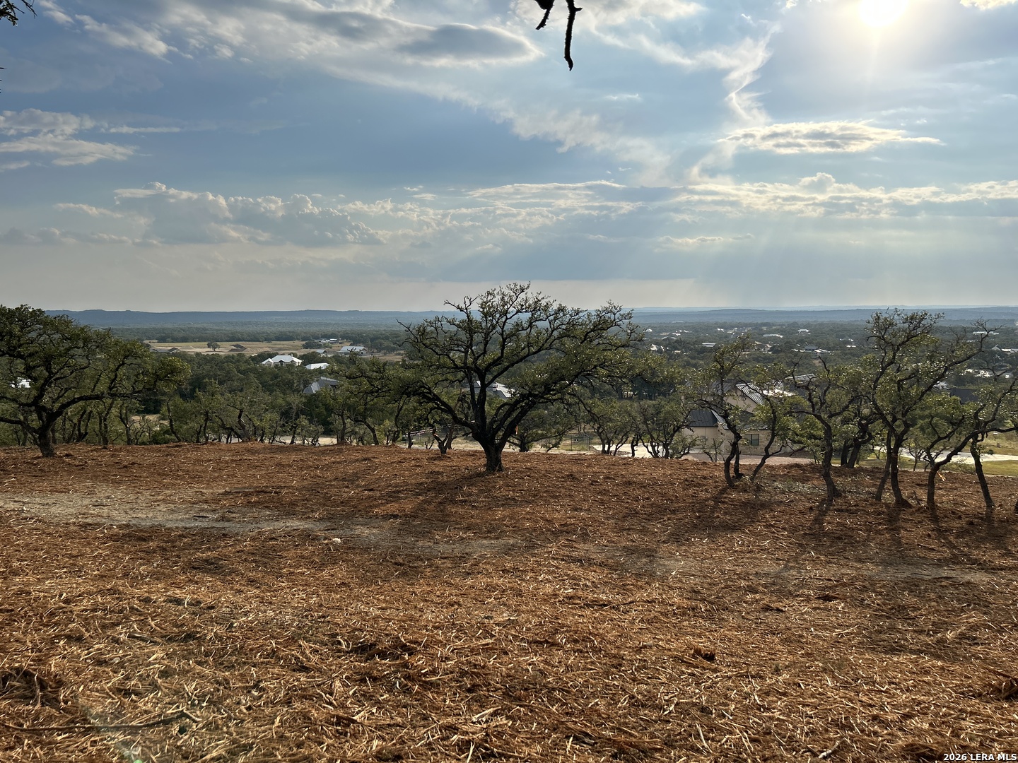 34780 Ansley Rdg Trail Bulverde, TX 78163 - Photo 7 of 14 a view of a dry yard with trees
