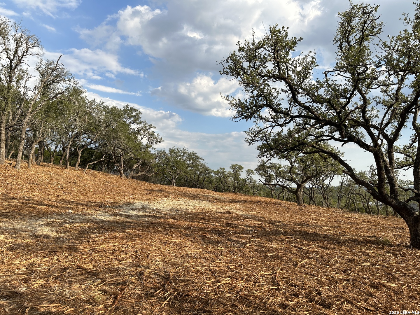 34780 Ansley Rdg Trail Bulverde, TX 78163 - Photo 8 of 14 a view of road and trees