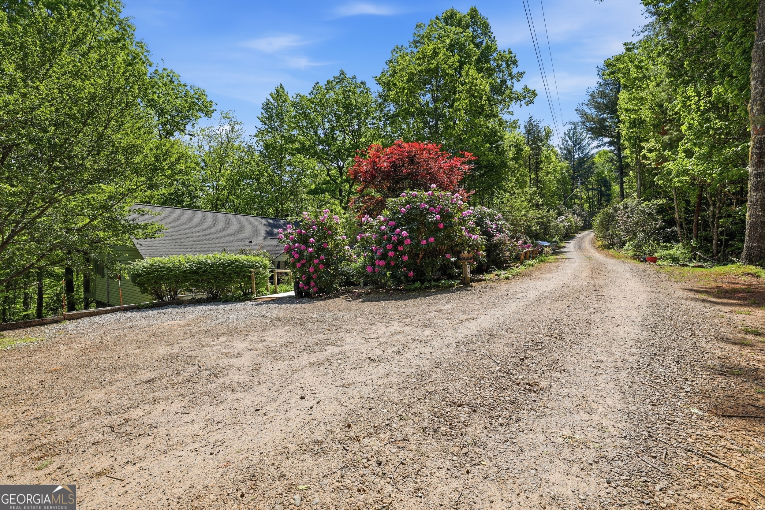 584 Battle Branch Vista Road Franklin, NC 28734 - Photo 3 of 46 a view of a garden with plants and trees