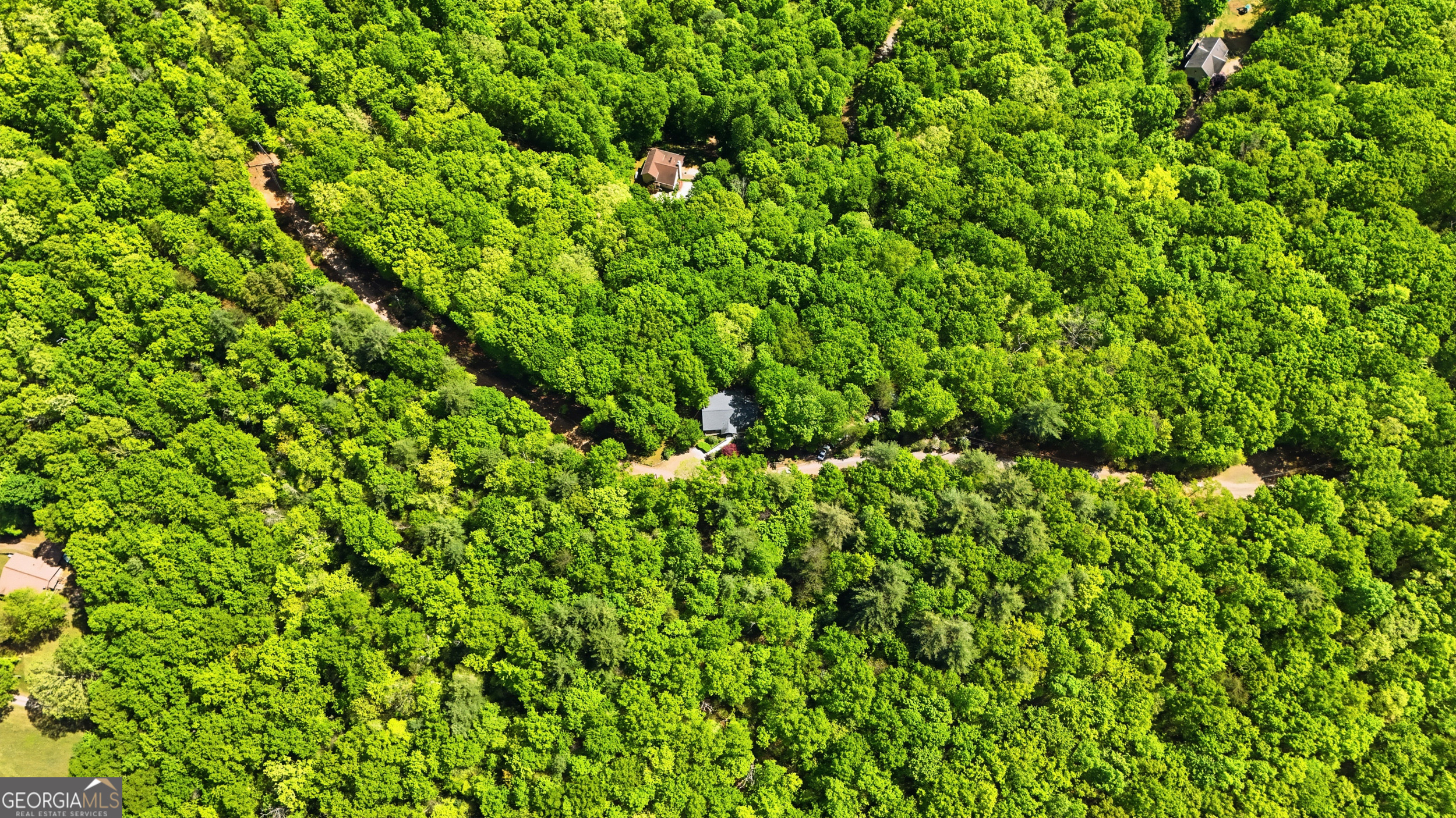 584 Battle Branch Vista Road Franklin, NC 28734 - Photo 40 of 46 a view of a lush green space