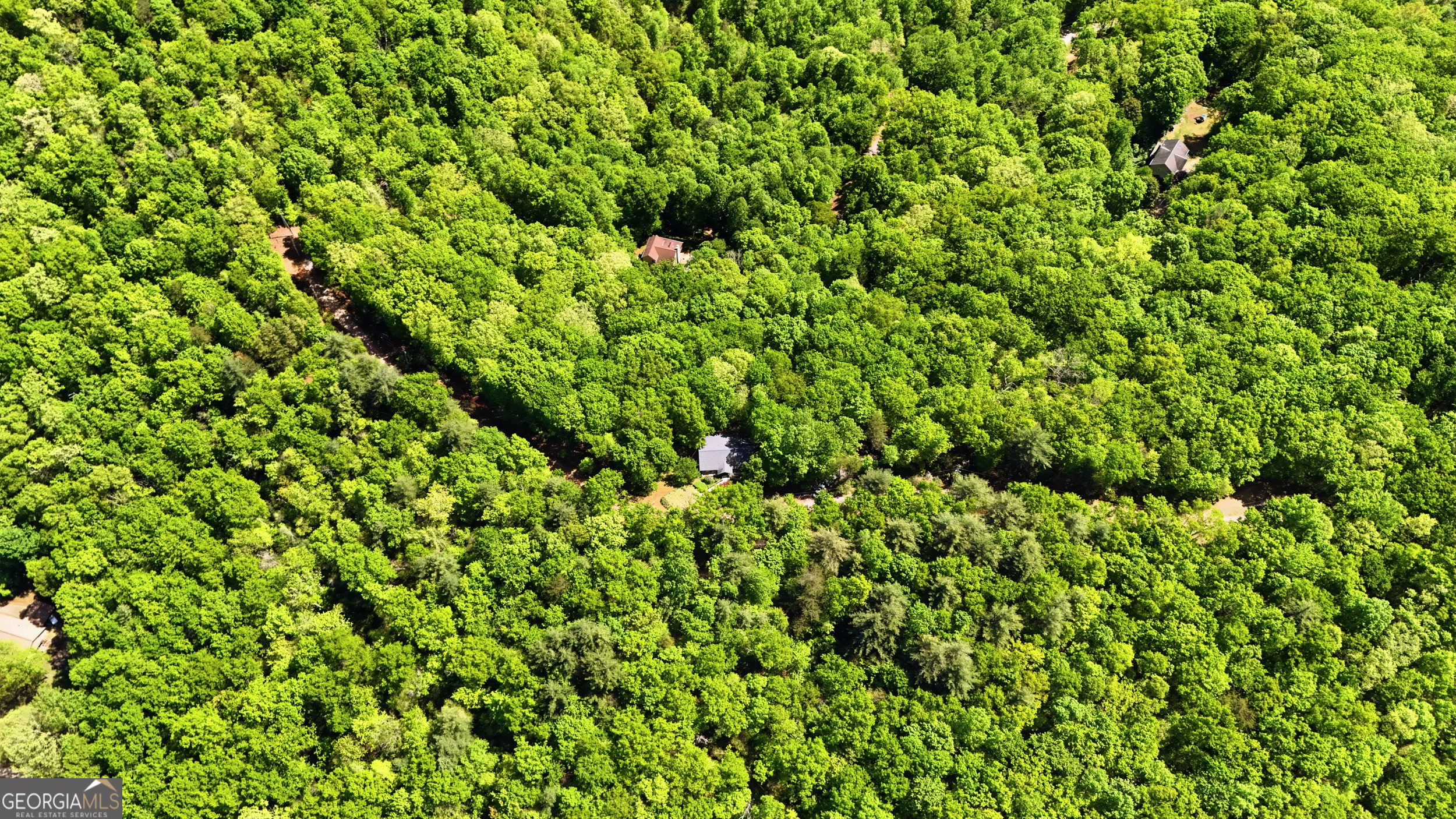 584 Battle Branch Vista Road Franklin, NC 28734 - Photo 43 of 46 a view of a lush green field