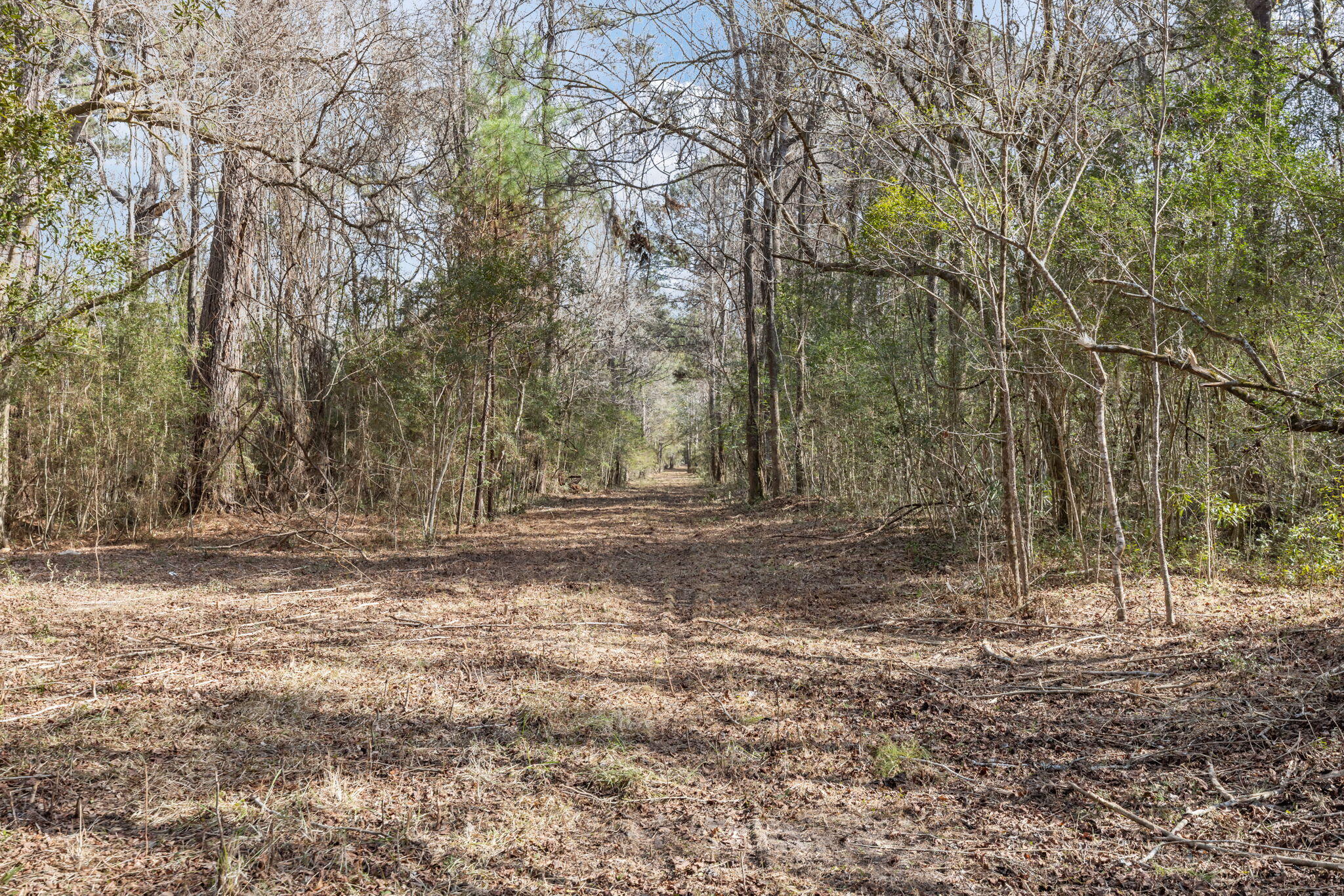 0 Summit Plantation Road Meggett, SC 29449 - Photo 8 of 15 17-web-or-mls-470A1719