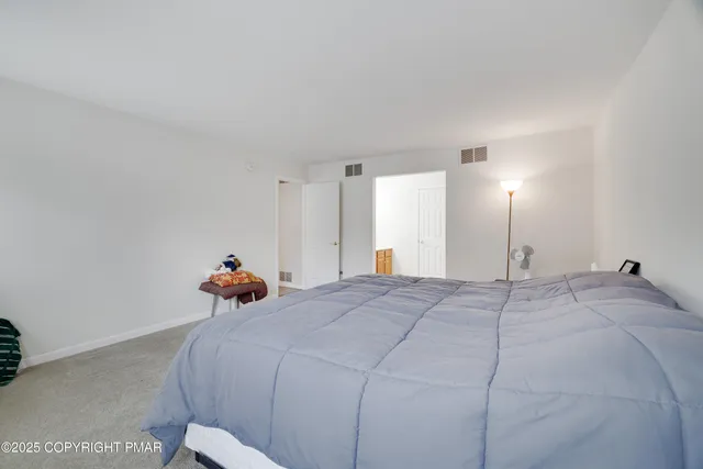 a bed room with a bed and a closet