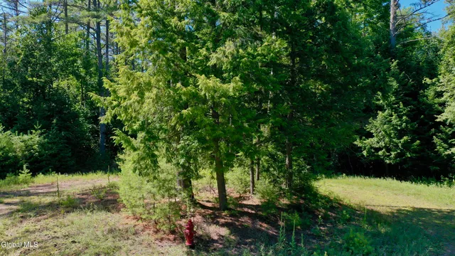 $99,000 | 49 The Woods, Johnsburg, NY 12853