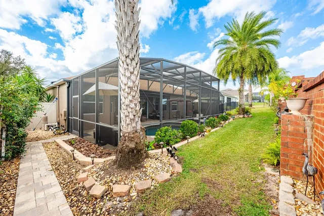 a view of a yard with palm trees