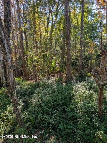 2639 Cortez Road Jacksonville, FL 32246 - Photo 8 of 8 cooooooo