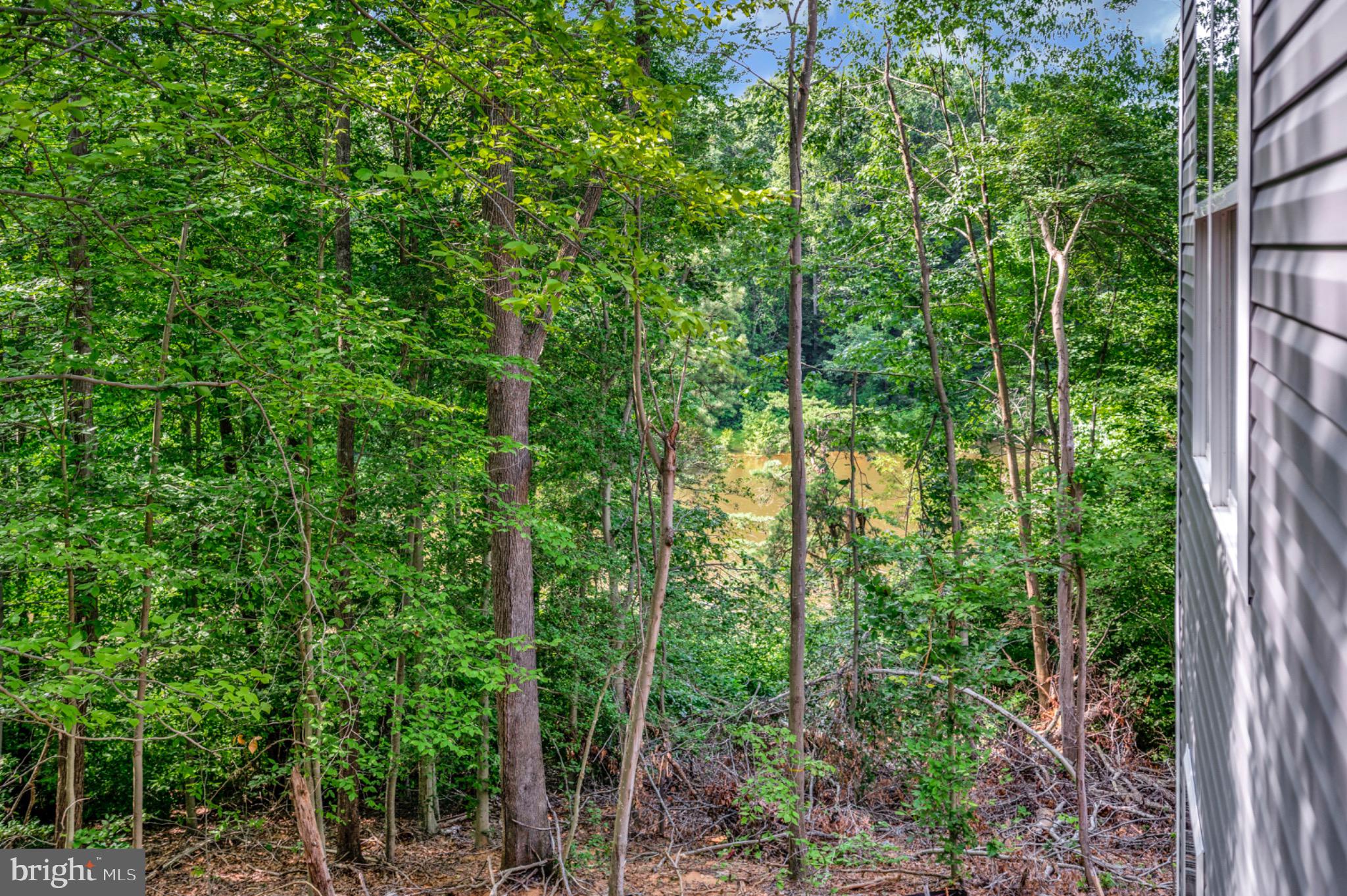 6077 Hamlin Circle King George, VA 22485 - Photo 14 of 50 a view of forest