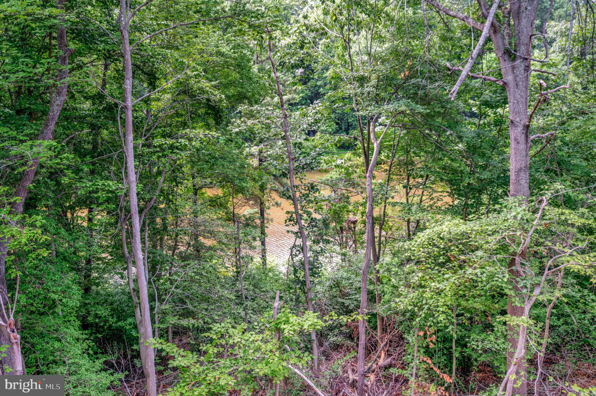 6077 Hamlin Circle King George, VA 22485 - Photo 40 of 50 a view of forest