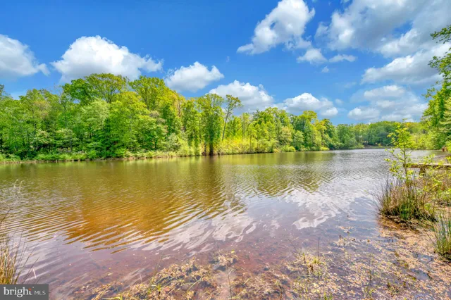 a view of a lake with a building in the background
