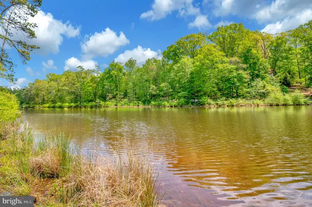 a view of a lake with a building in the background