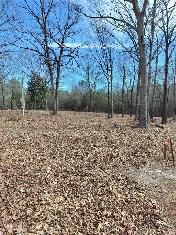 0 Hickory Log Circle Eastanollee, GA 30538 - Photo 1 of 6 a backyard of a house with large trees