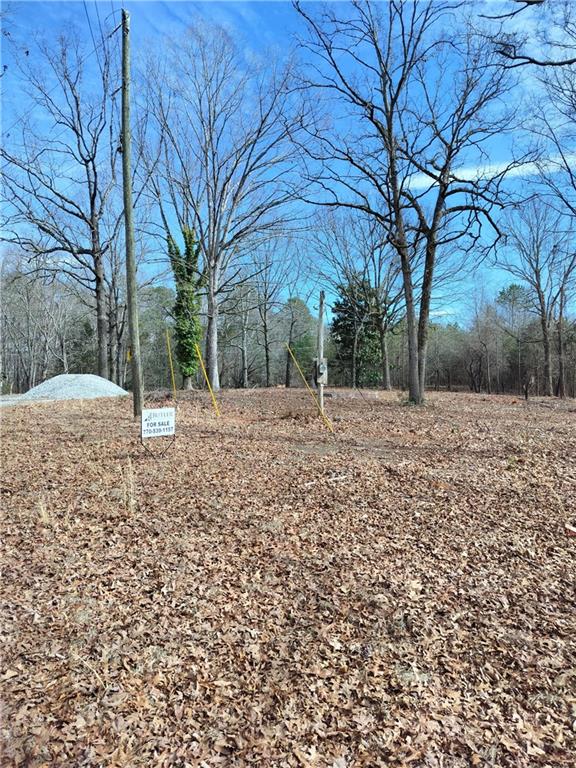0 Hickory Log Circle Eastanollee, GA 30538 - Photo 4 of 6 a backyard of a house with lots of green space