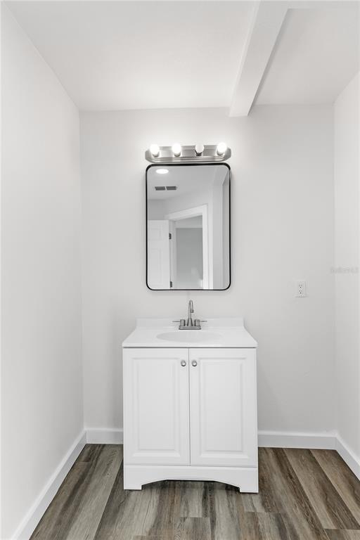 426 Bascom Court Polk City, FL 33868 - Photo 12 of 33 a bathroom with a sink and a mirror