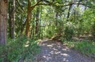 3470 Dick George Road Cave Junction, OR 97523 - Photo 14 of 34 Additional Photo