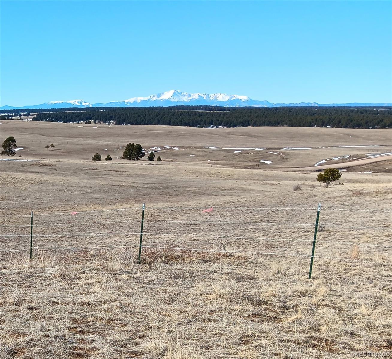 5335 County Road 82 Elbert, CO 80106 - Photo 2 of 26