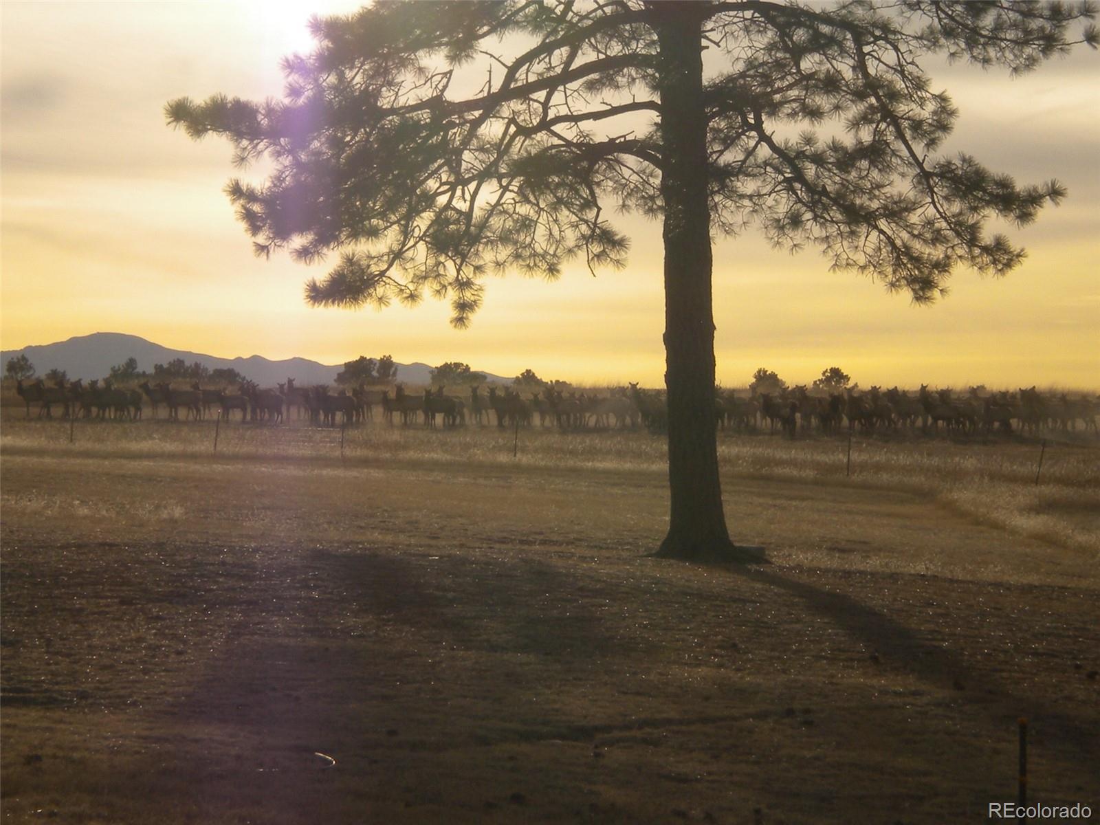 5335 County Road 82 Elbert, CO 80106 - Photo 26 of 26